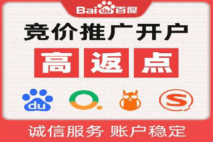 真实案例解析：SEM代运营托管公司的优势与挑战